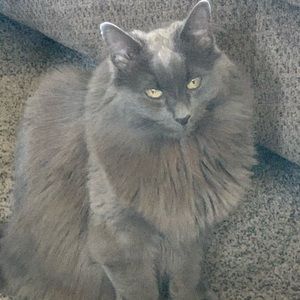 Meet your Posher, Jacquelyn